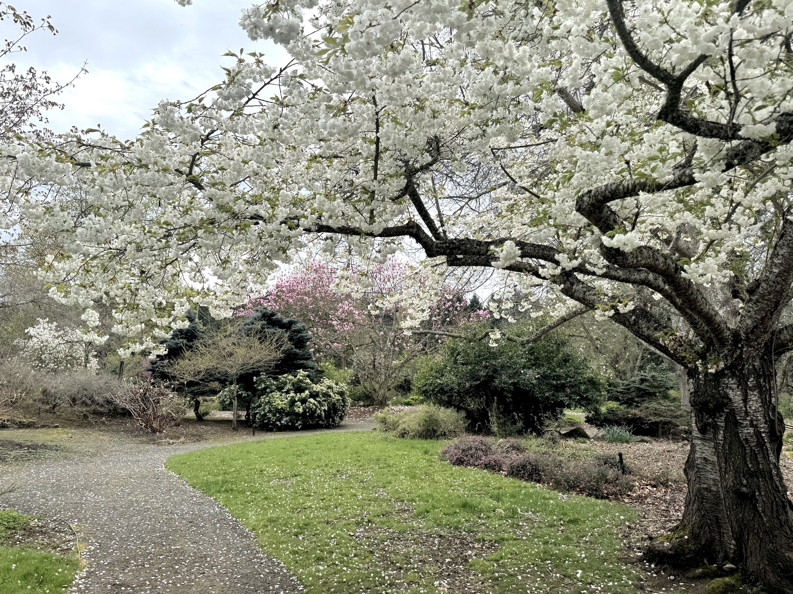 This & That: April 3, 2026