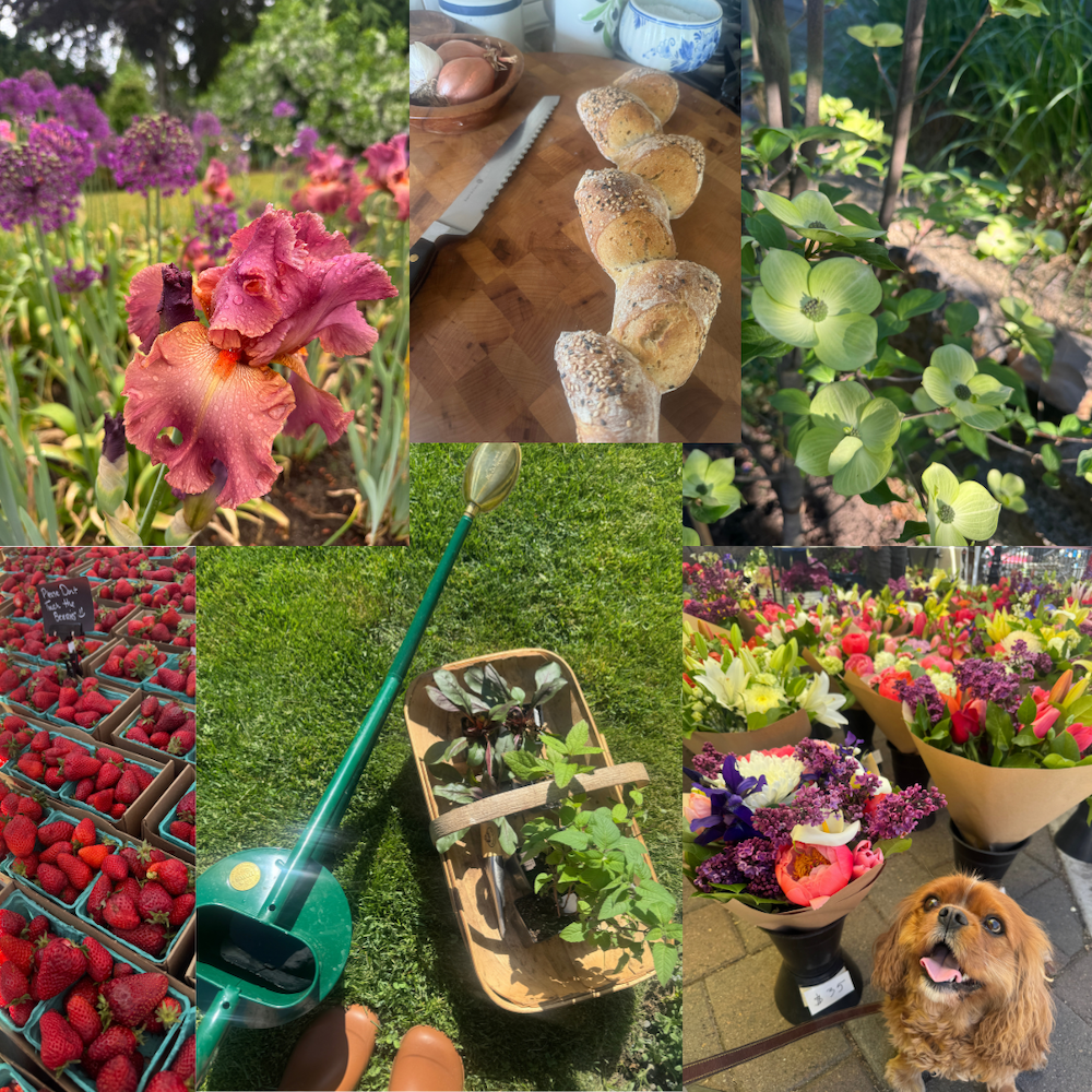 May2026IGcollage