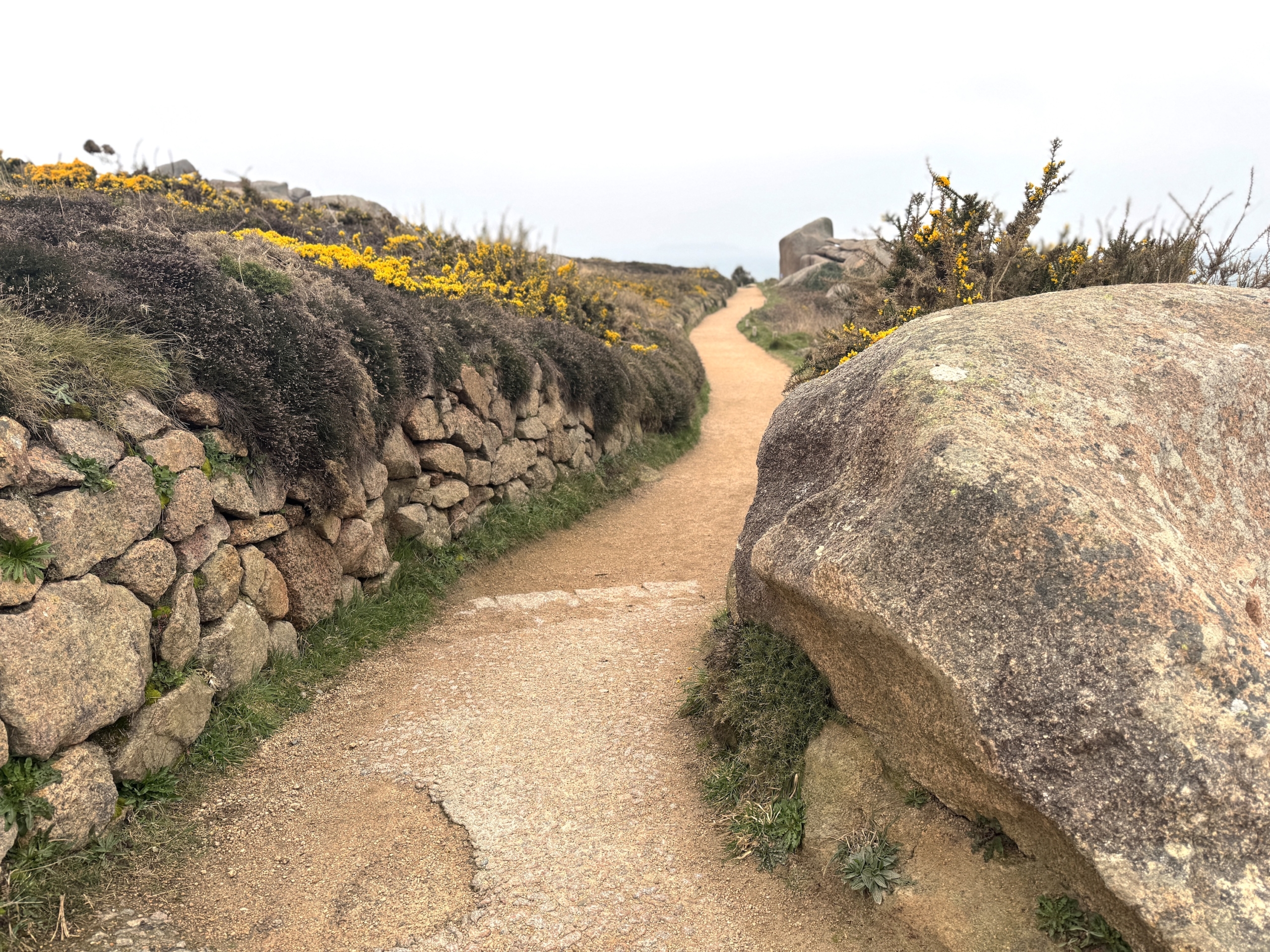 Curvepathhorizontalboulderyellow