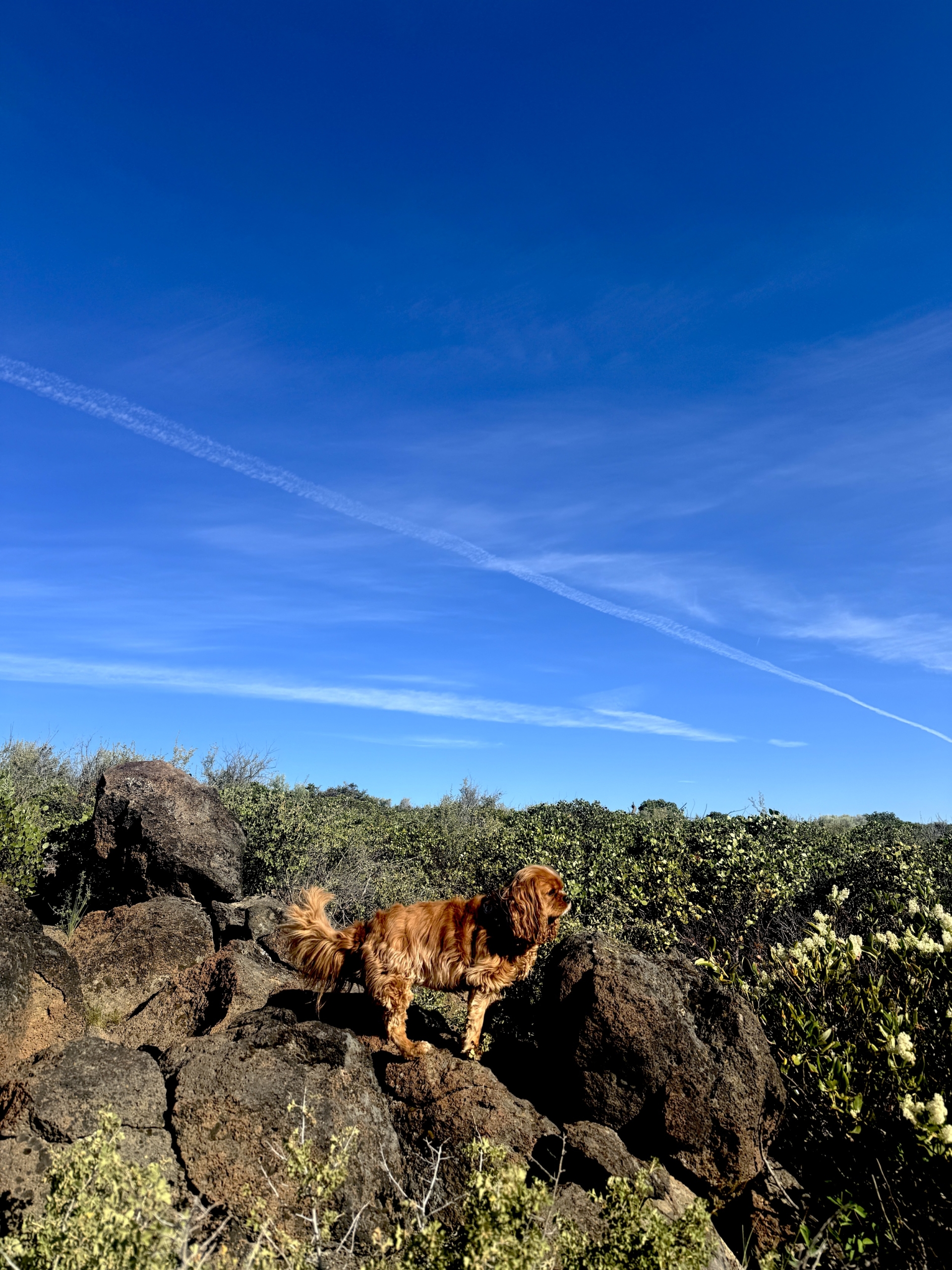 Nellerocksprofilestoicblueskyvertical
