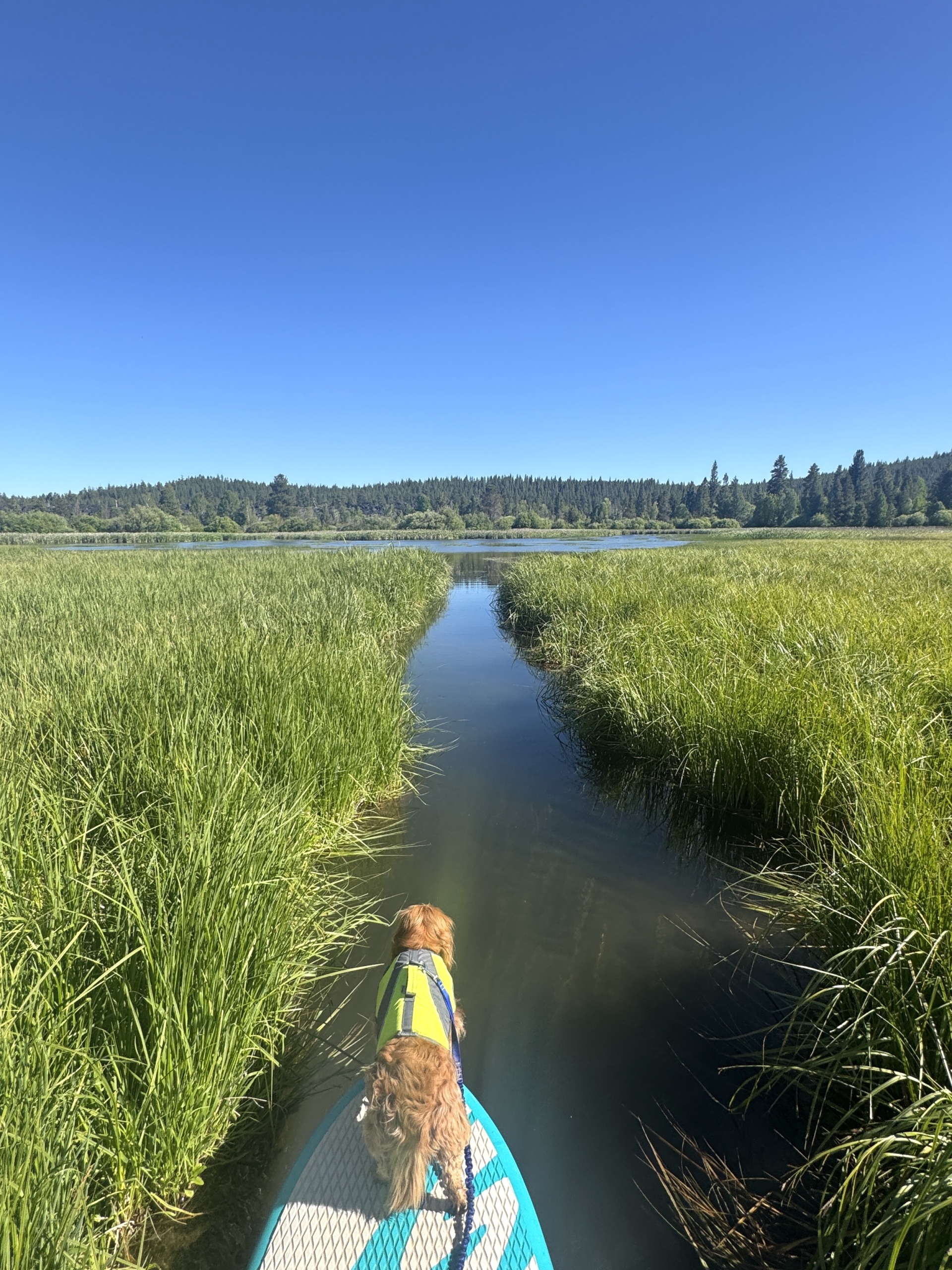 Pathstraightensnellepaddleboardbluesky