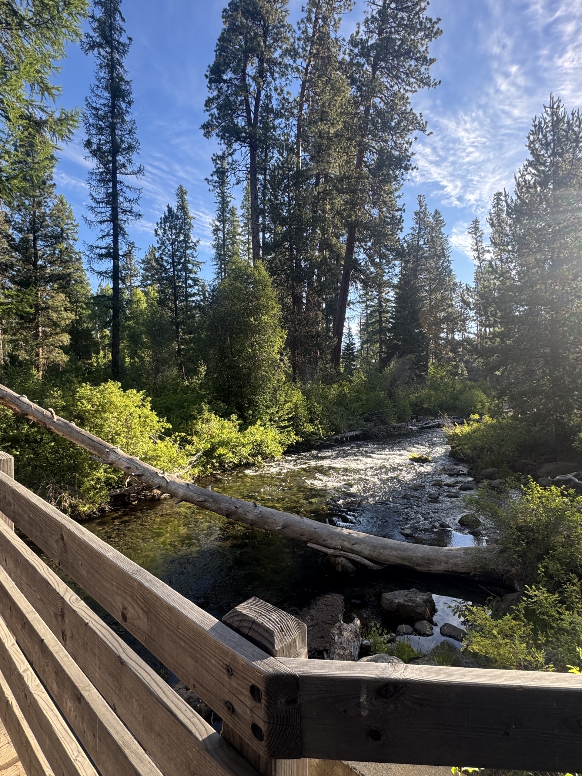9 Things That Made Me Smile This Month, So Far . . . (July 2026)