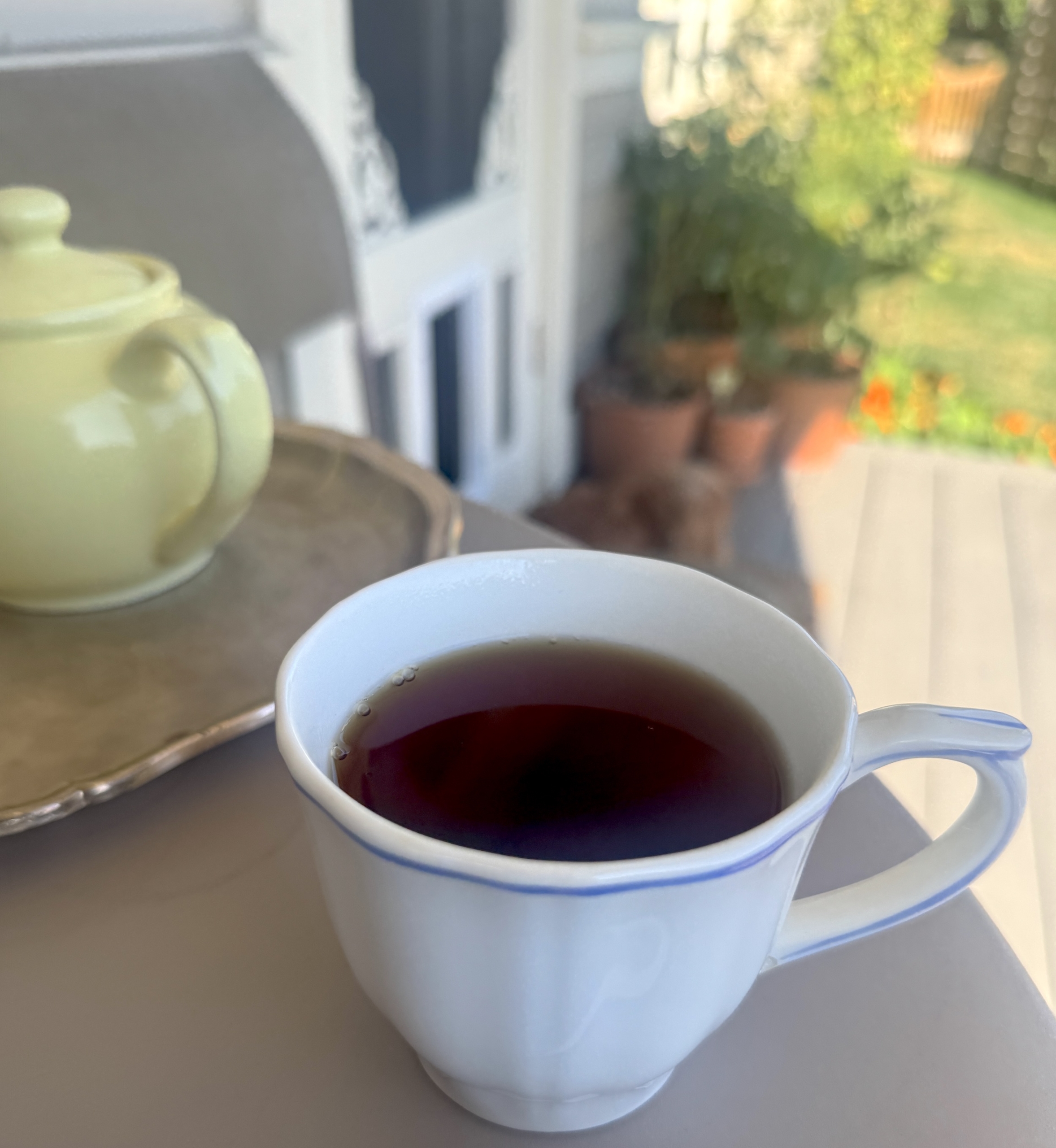 Gienteacupgardenporchnellescreendoor
