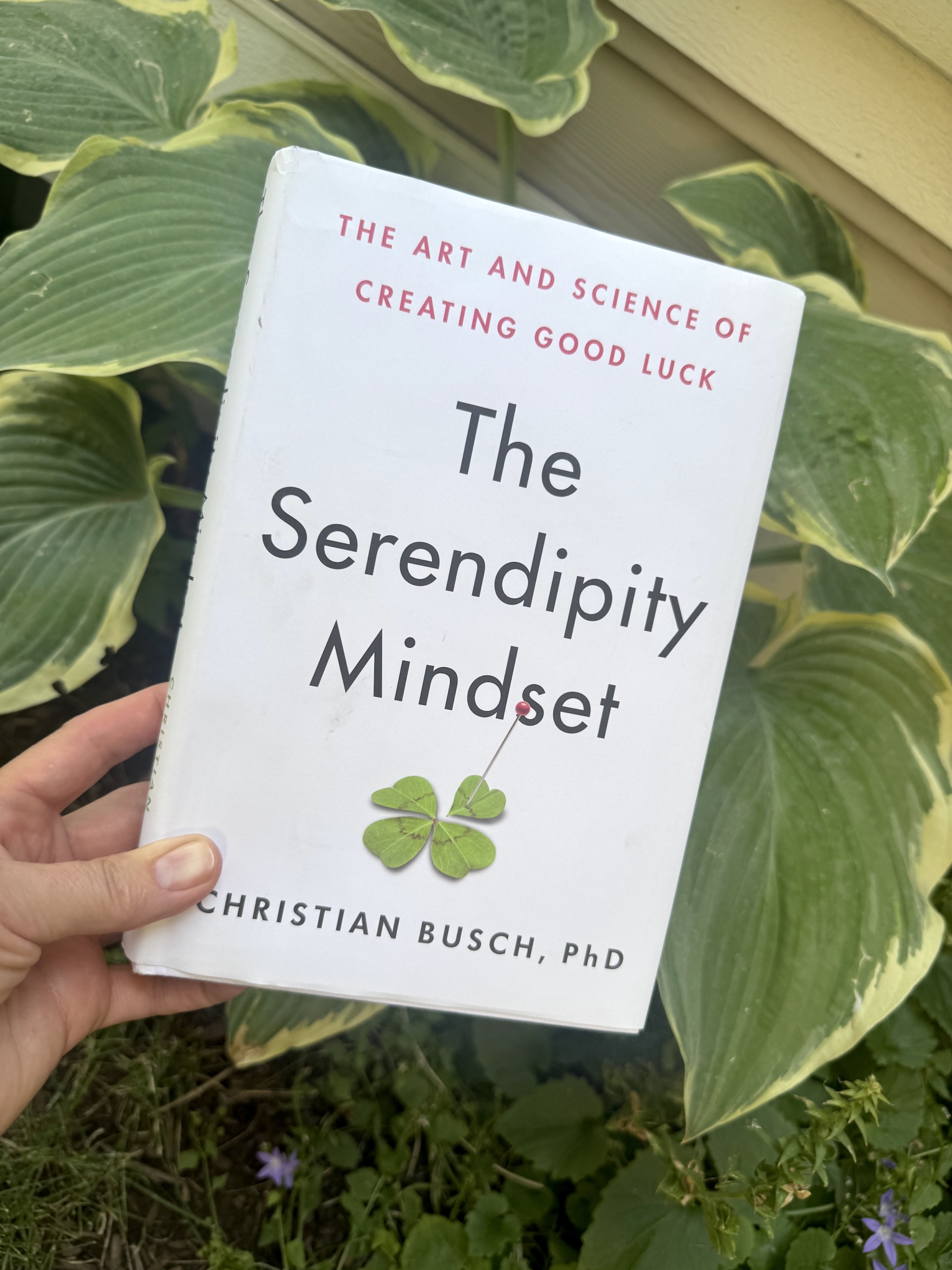 431: How to Welcome More Serendipity into Your Life