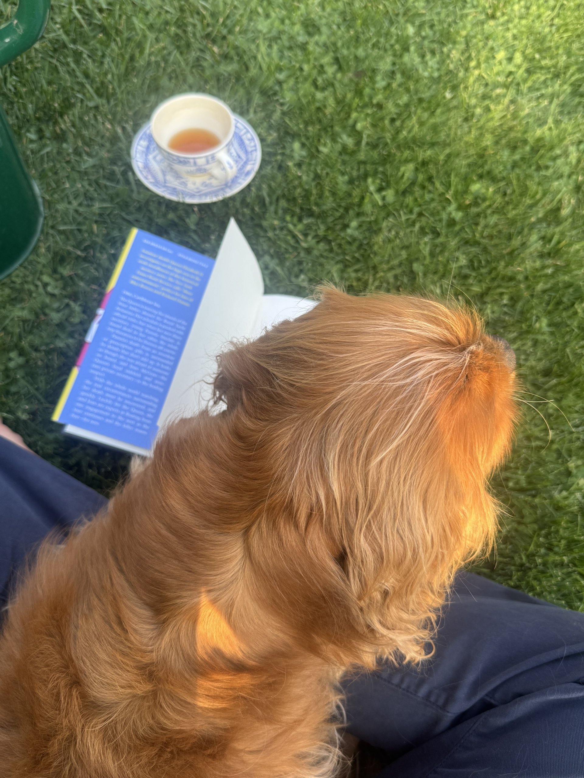 Nellecupteaardenbooklap