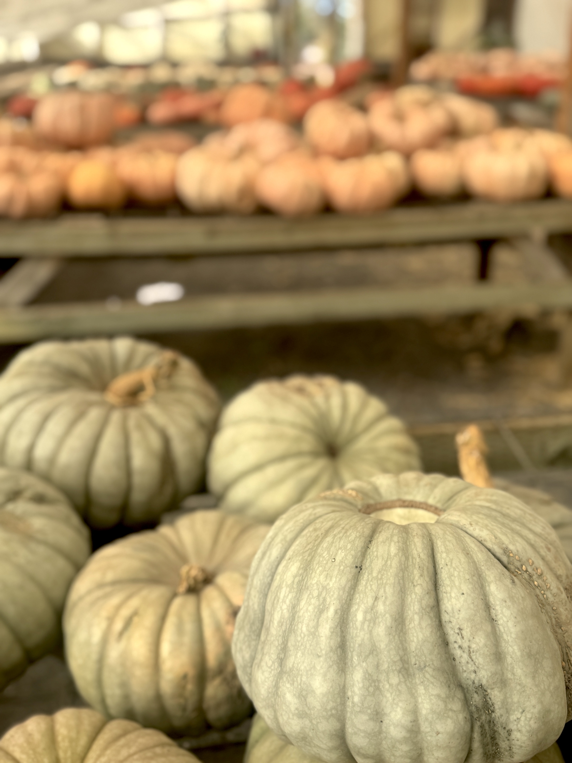 This & That: October 23, 2026